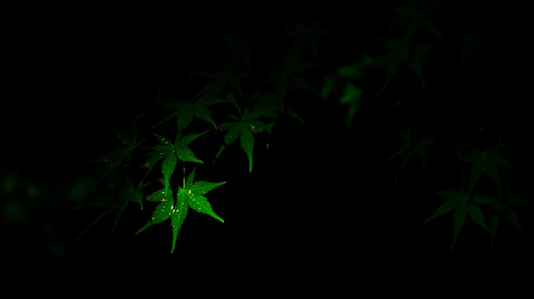 1590629178165245.png