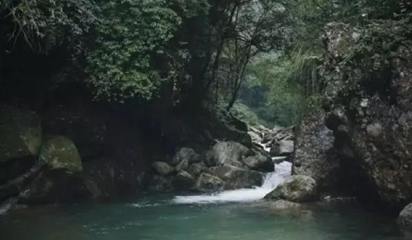 1590629178462811.jpg