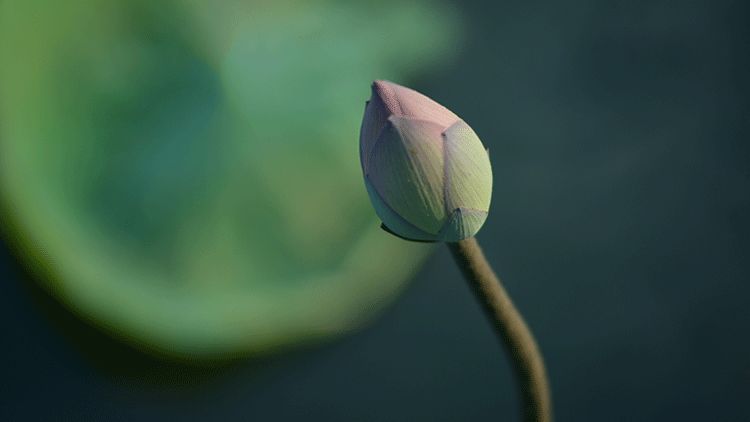1590629178868792.jpg