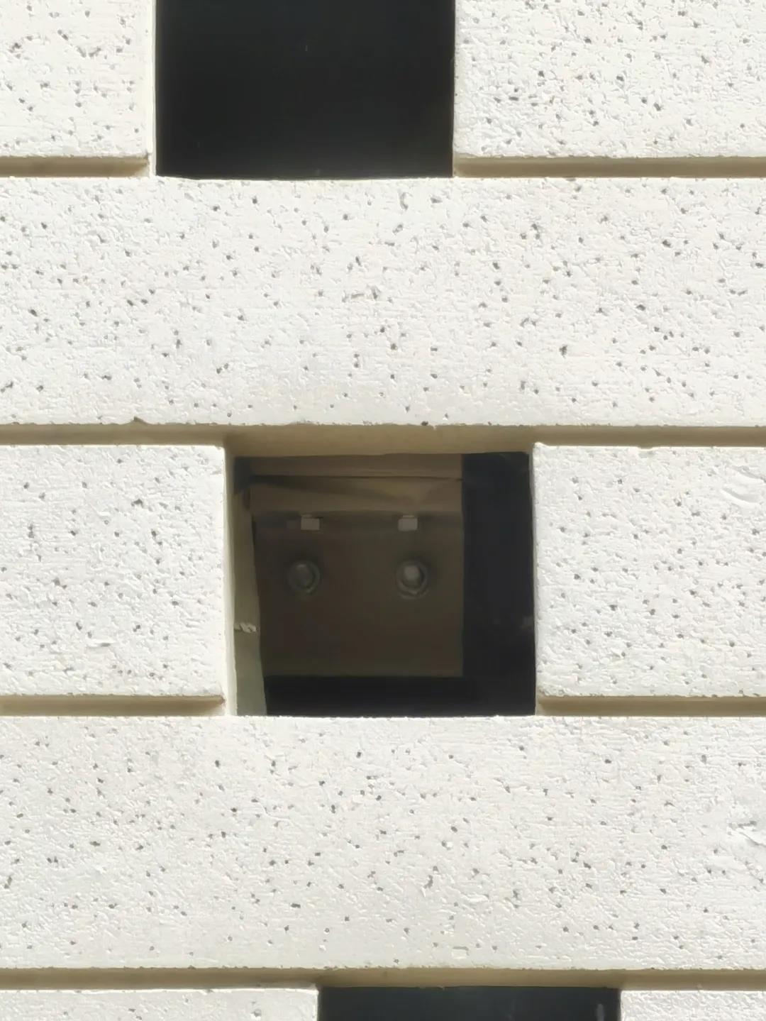 1595907168481582.jpg