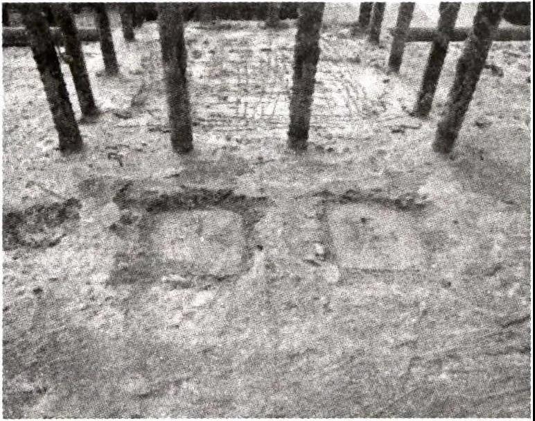 1598496401738969.jpg